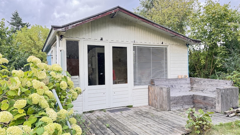 tuin31